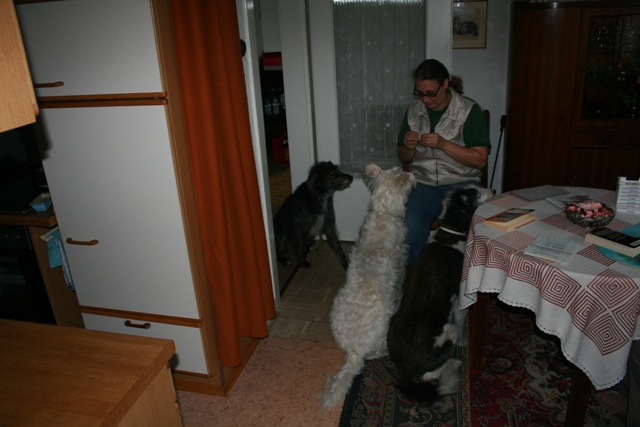 IMG_1508a.JPG