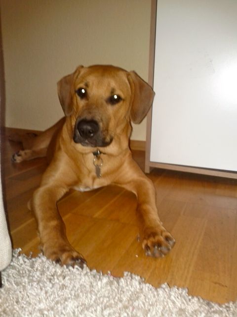 Bild 11.jpg