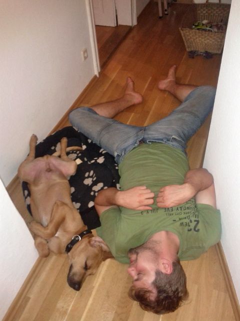 Bild.jpg