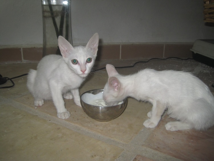 Michel mit Schwester.jpg