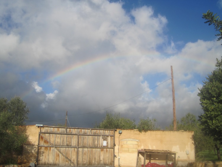 Regenbogen.jpg