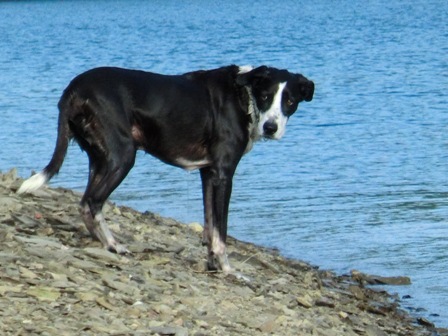 Puhh, ist das Wasser nass.JPG
