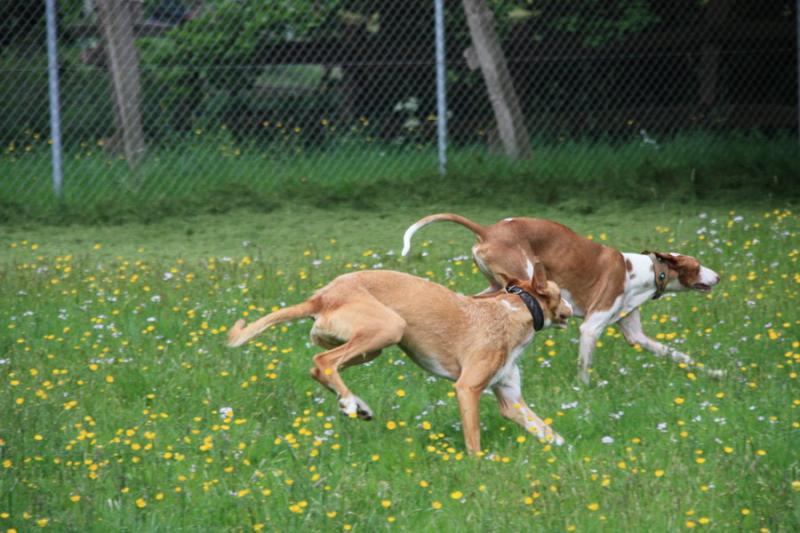 2009-05-02_17-27-23_002.jpg