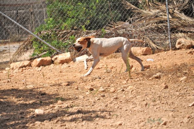 DSC_4625_2.jpg
