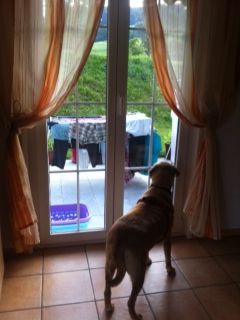 Foto 1.JPG