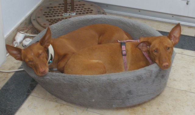 Maennerkuscheln.jpg