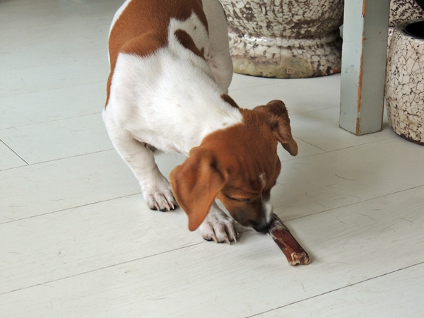 DSCN4435.JPG