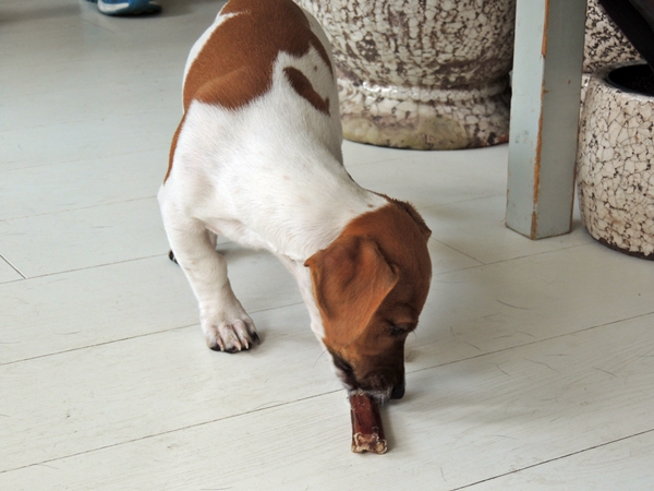 DSCN4436.JPG