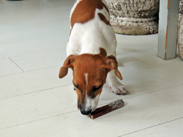 DSCN4437.JPG