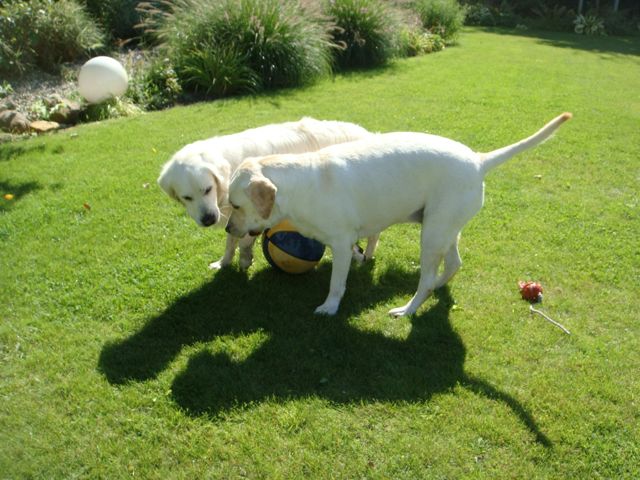 06.jpg