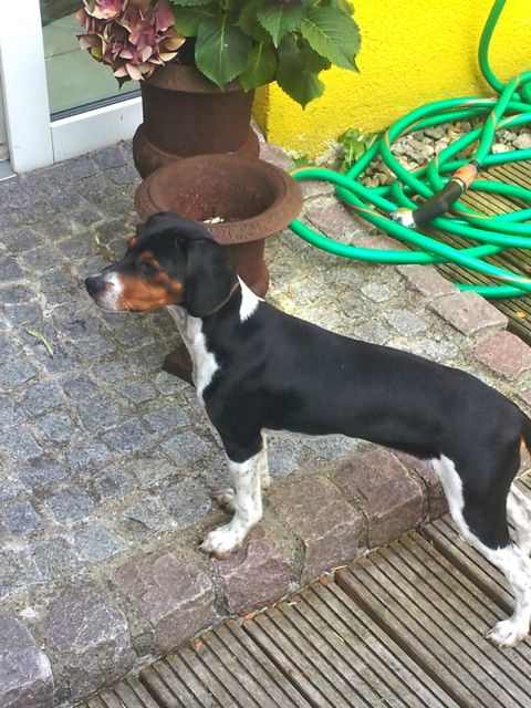 Bild 26.jpg