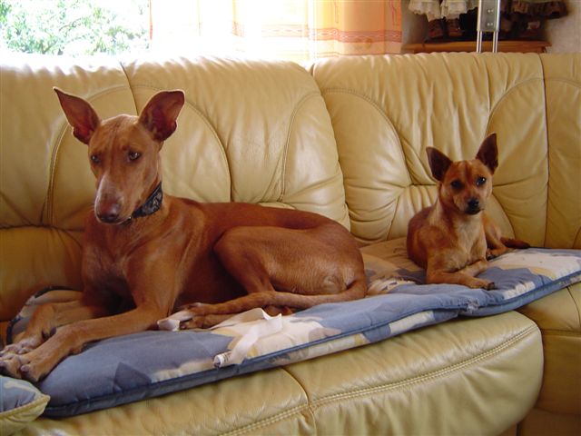 Mini 072008 063.jpg