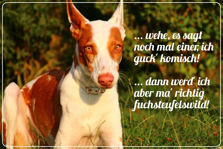 IMG_6873 Legende.jpg