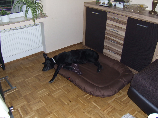 DSCF2123.JPG