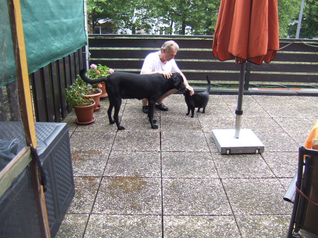 DSCF2131.JPG