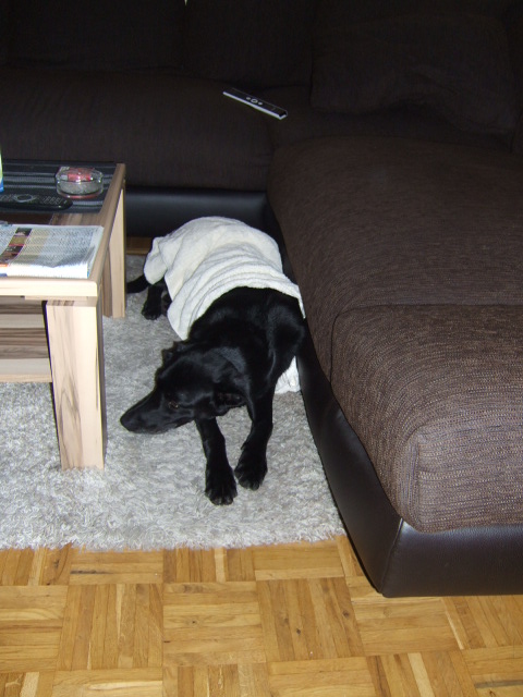 DSCF2133.JPG