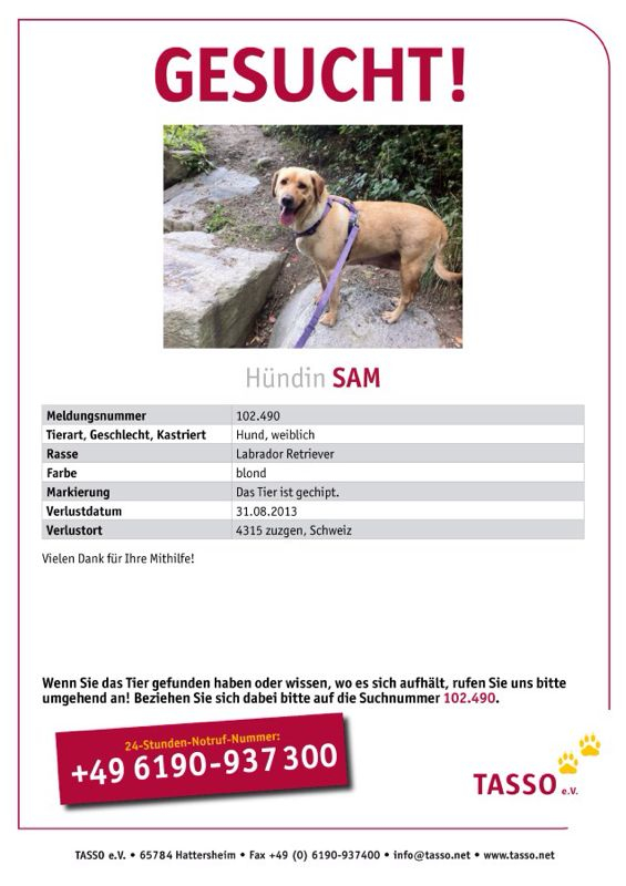 MOLLY - Suchplakat1.jpg