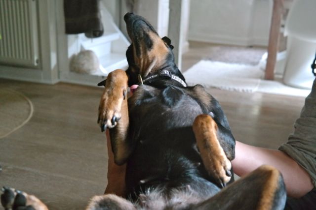 Bild 3.jpg