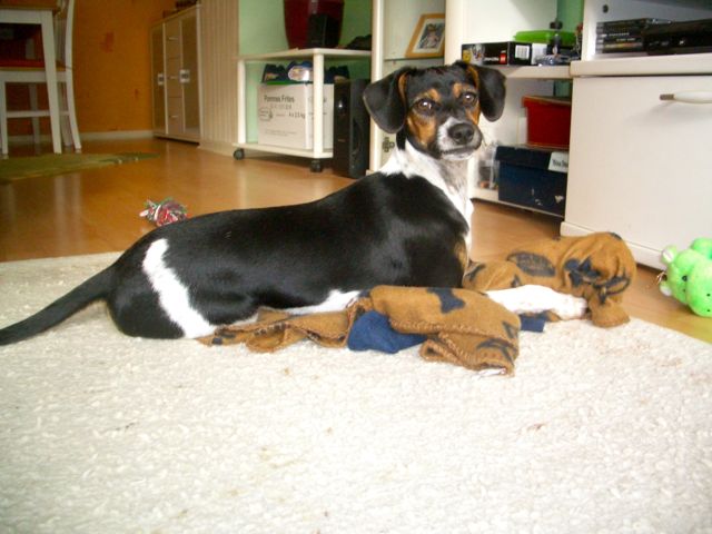 Letzter Import – 01.jpg