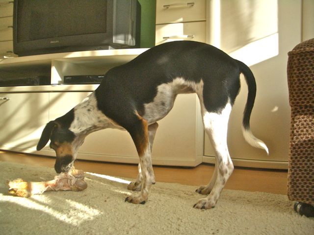 Letzter Import – 02.jpg