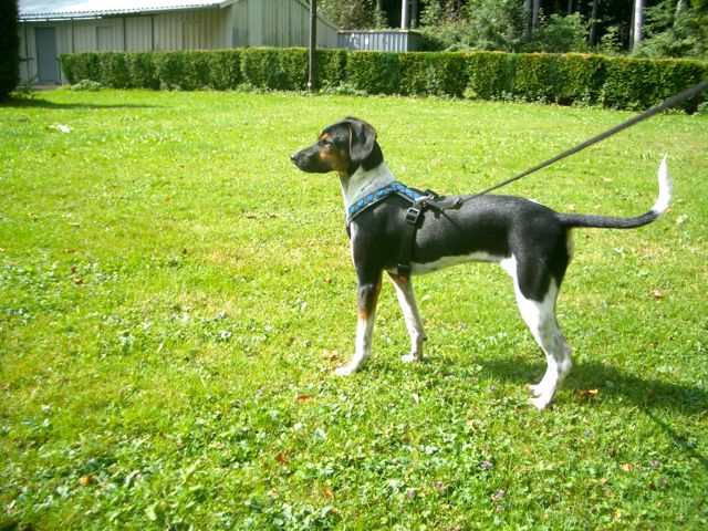 Letzter Import – 03.jpg