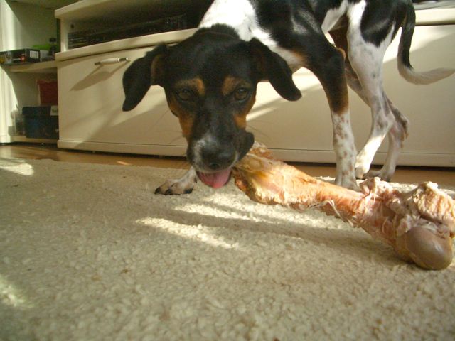 Letzter Import – 04.jpg