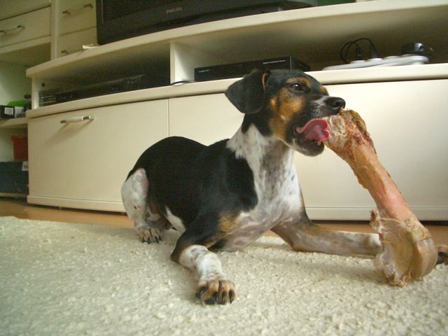 Letzter Import – 09.jpg