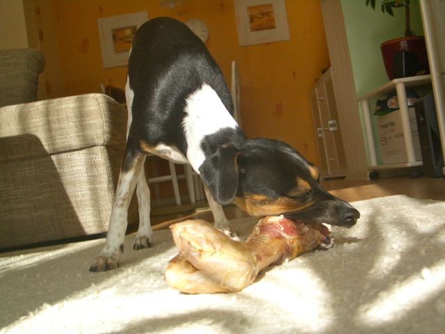 Letzter Import – 11.jpg