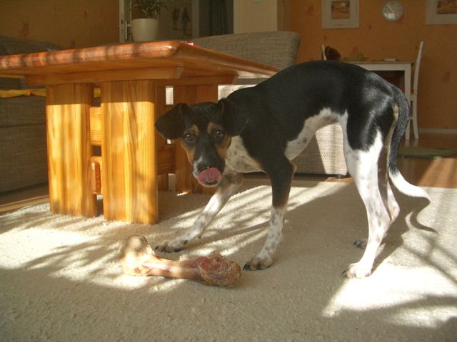 Letzter Import – 12.jpg