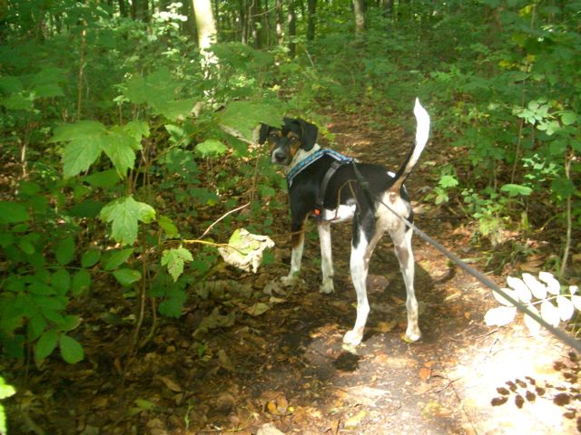 Letzter Import – 06.jpg