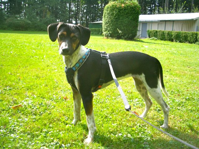 Letzter Import – 07.jpg