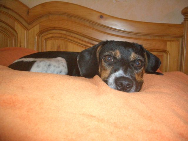 Letzter Import – 10.jpg