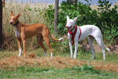 DSC_0023.jpg