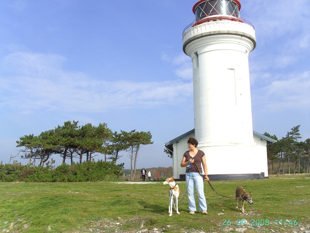 Bilder 07 08 204.jpg