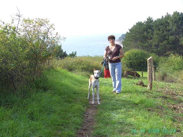 Bilder 07 08 207.jpg
