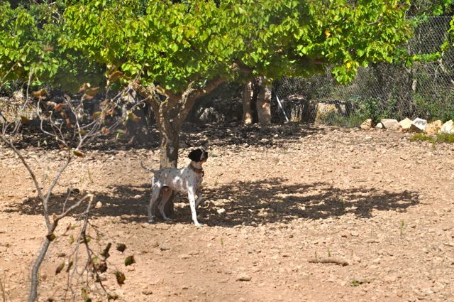 DSC_5304.jpg