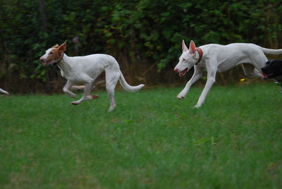 DSC_0089.jpg