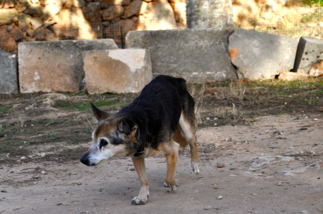 DSC_5621.jpg