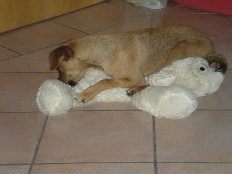 jasper 21.09.13 161.JPG