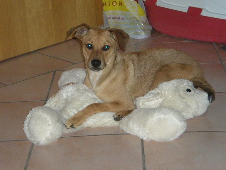 jasper 21.09.13 162.JPG