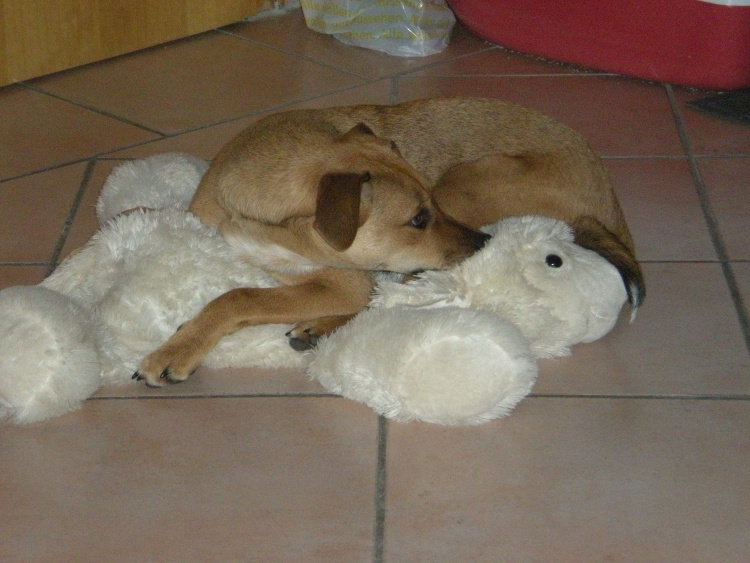 jasper 21.09.13 164.JPG