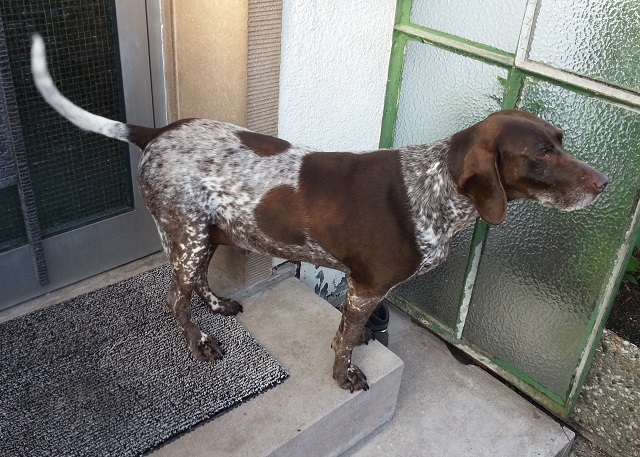 20130924_091214klein.jpg