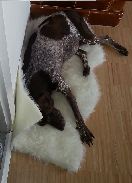 20130927_100543klein.jpg