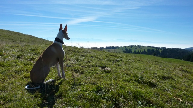P1050541.jpg
