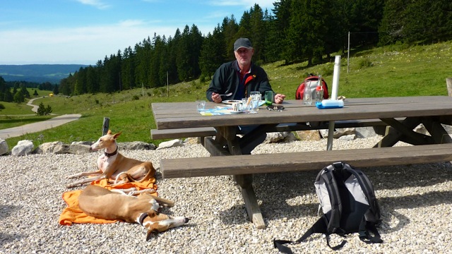 P1050376.jpg