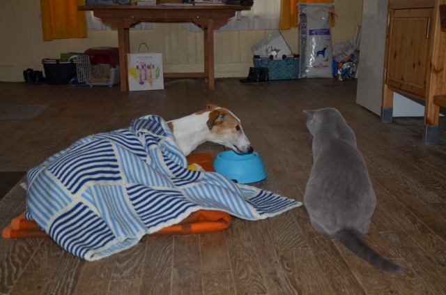 DSC_4926.jpg