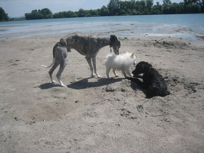 Bild 475.jpg