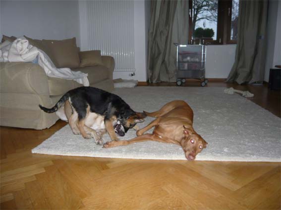 P1000310 Kopie.jpg