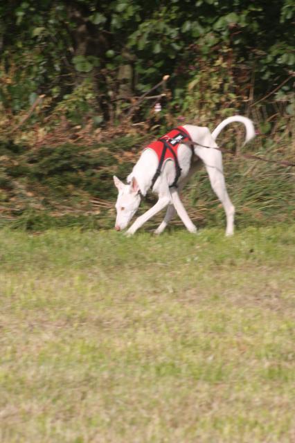 IMG_8265.jpg