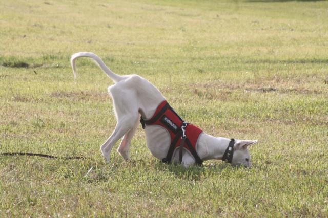 IMG_8288.jpg
